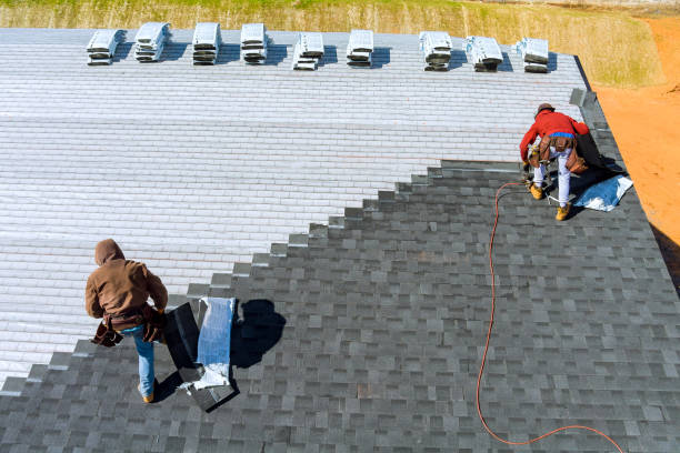 Best Roof Waterproofing Services  in Willow, AK