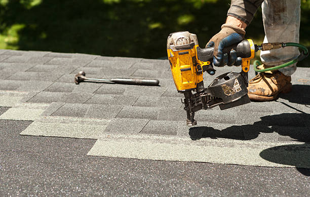 Best Roof Gutter Cleaning  in Willow, AK