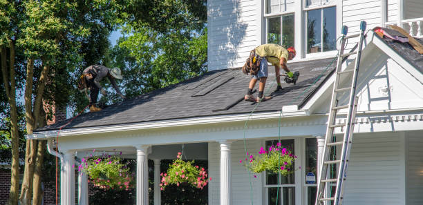 Roof Gutter Cleaning in Willow, AK